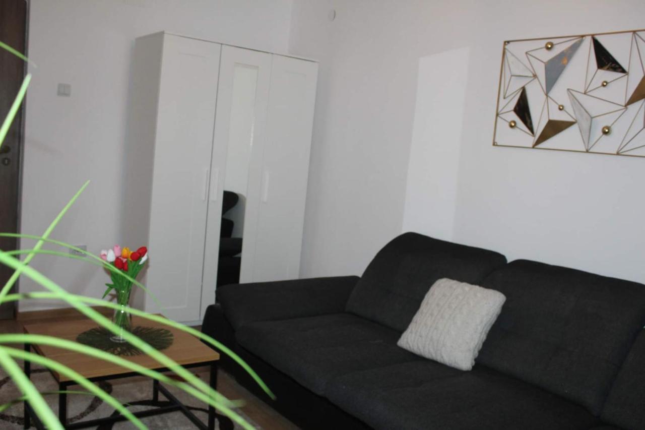 Apartament Dania & Petru Apartment ตือร์กูออกนา ภายนอก รูปภาพ